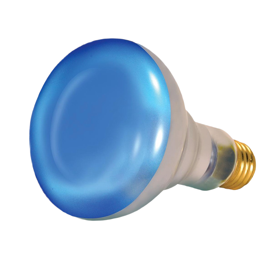 Blue-tinted R20 incandescent bulb with medium base for indoor gardening in lighting and electrical collections under 50 dollars