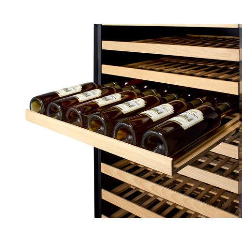24" Wide Single Zone Wine Cellar - with T1SF Door Tint