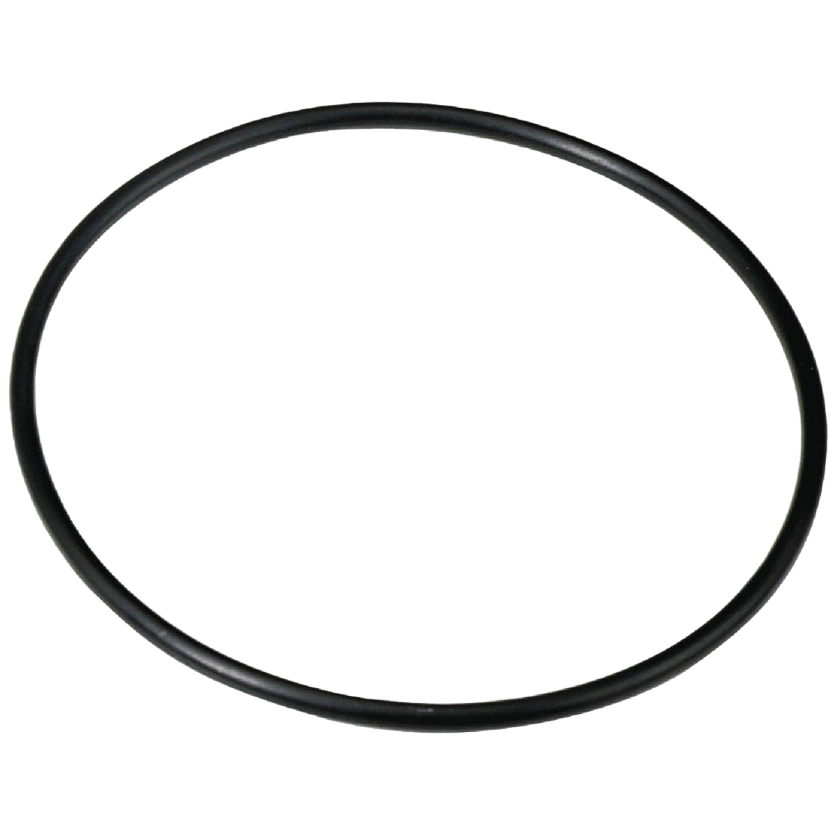 Black rubber O-ring gasket for water filter replacement and home improvement maintenance tasks