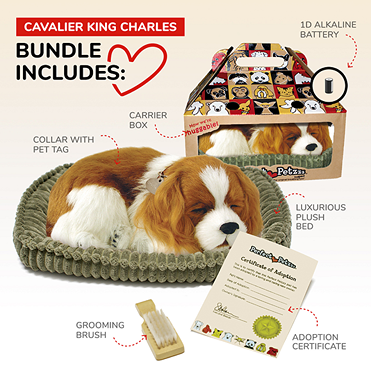 Sleeping plush Cavalier King Charles dog on soft bed with carrier box, brush, collar, and adoption certificate