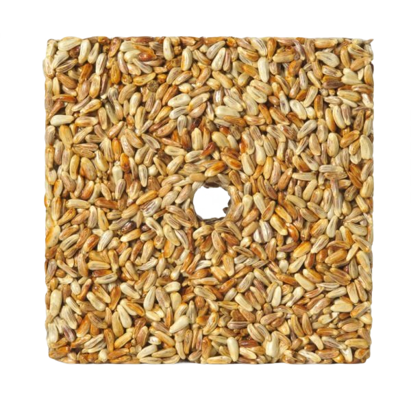 Square bird seed cake made from tightly packed golden and safflower seeds with a center hole for hanging