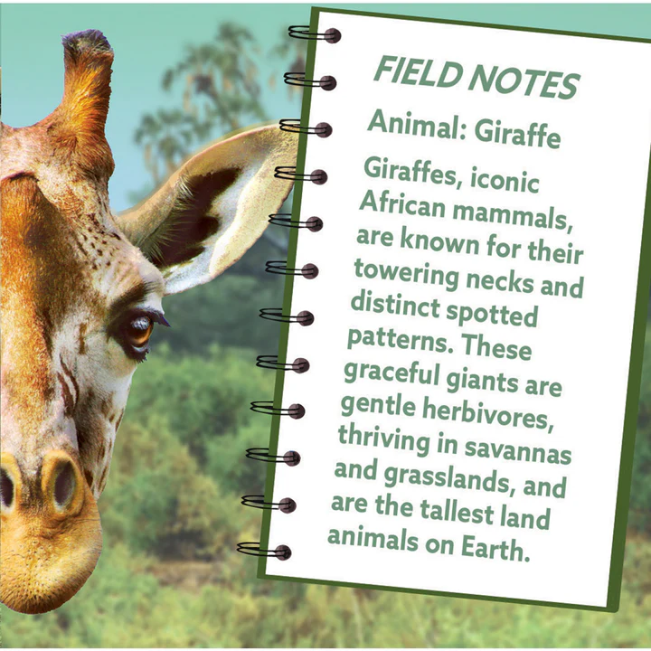 Close-up of a giraffe head beside a notebook with facts about giraffes for toys and puzzles collections under $50