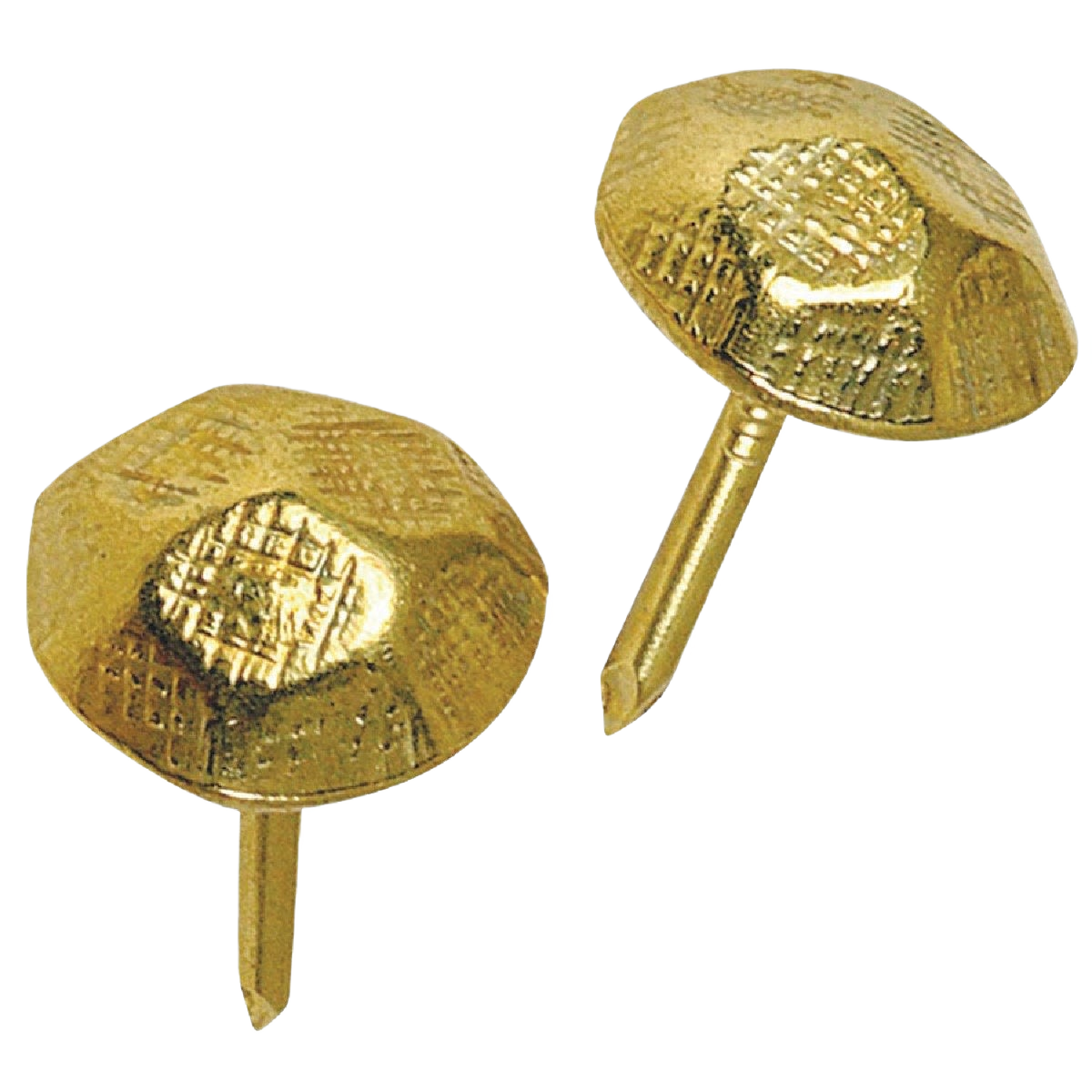 Two small round brass upholstery nails with textured heads for furniture trim in hardware and fasteners collection