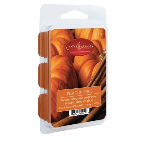 Pumpkin spice wax melts with cinnamon sticks and pumpkins on label for cozy home decor under $50 collection