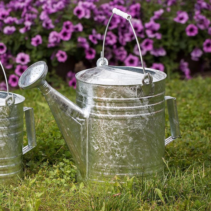 Large galvanized metal watering can with handle and spout on grass near purple flowers in lawn and garden setting