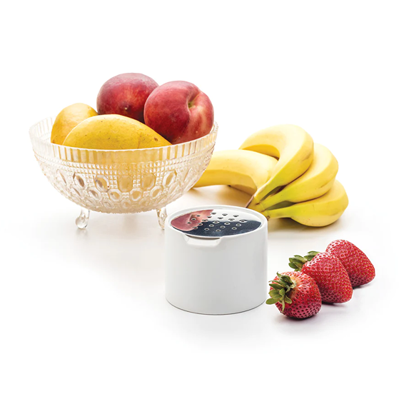 White ceramic and stainless steel fruit fly trap next to fresh fruit in office supplies and under $50 collections