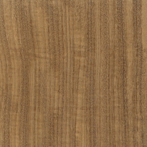 Close-up of natural African teak exotic lumber with warm brown tones and fine wood grain texture for home improvement projects