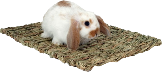 Small brown and white rabbit sitting on a woven natural grass mat for pet comfort and care use