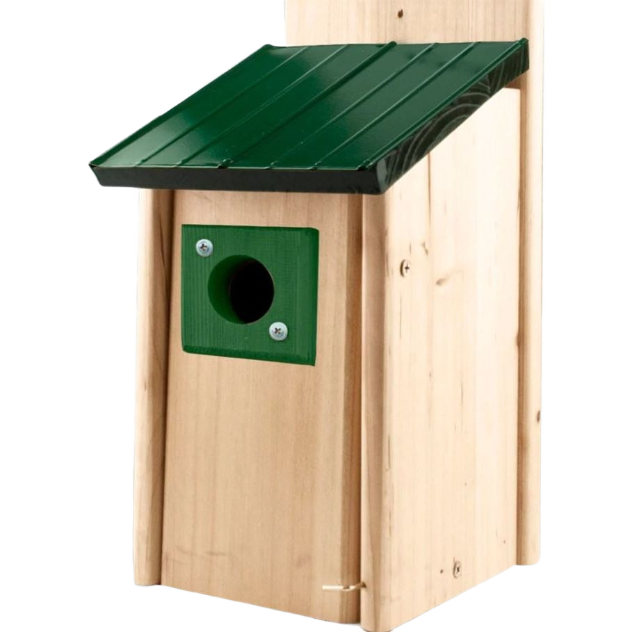Natural wood bluebird house with green metal roof and predator guard for outdoor nesting protection