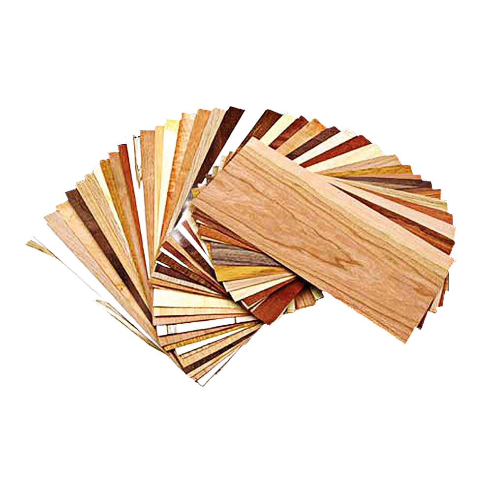 Assortment of domestic and exotic wood veneer samples in various natural tones for home improvement projects