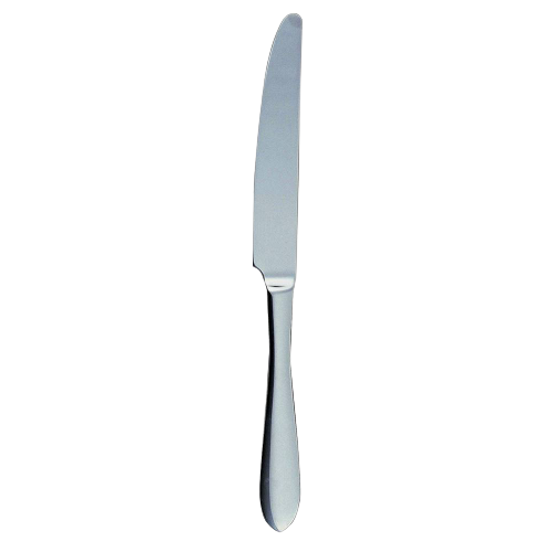 Polished dinner knife with pointed tip and ergonomic handle, part of kitchenware and flatware collections under $100