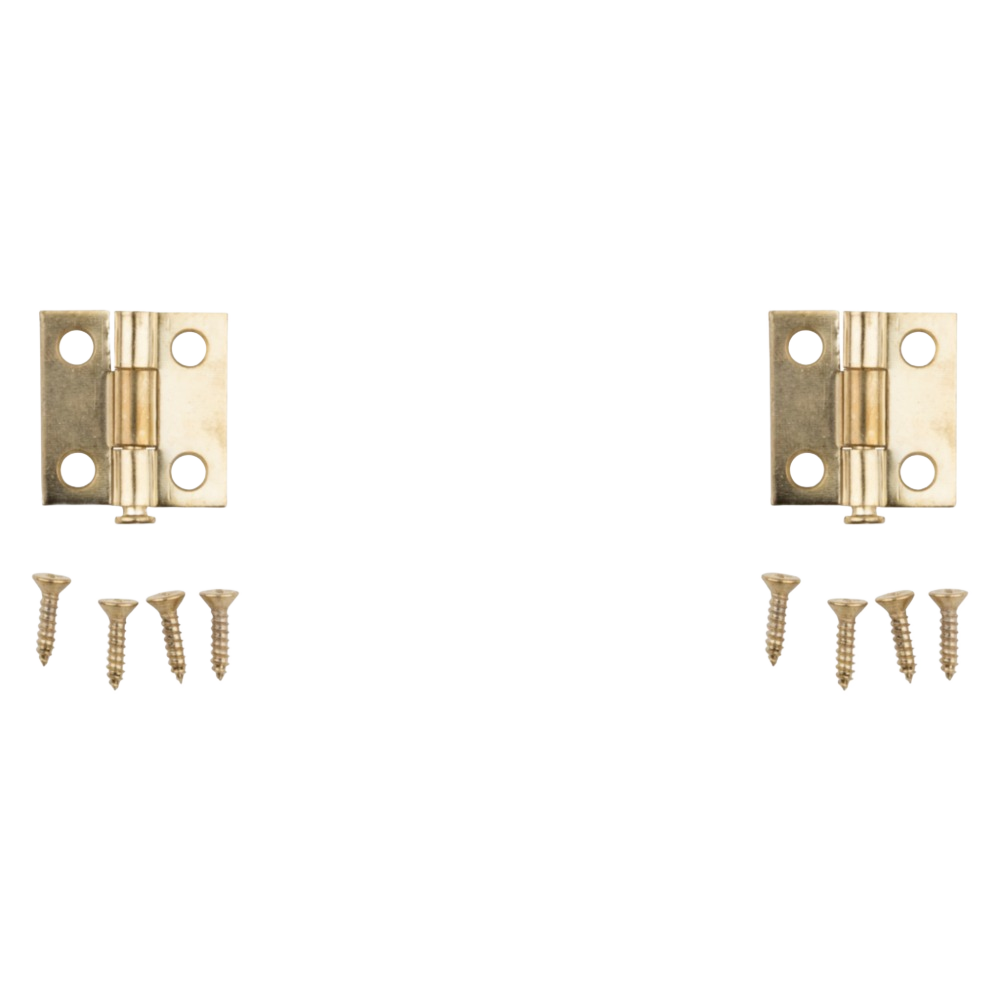 Two 1-inch brass narrow hinges with loose pin design and mounting screws for door hardware under $50 collection