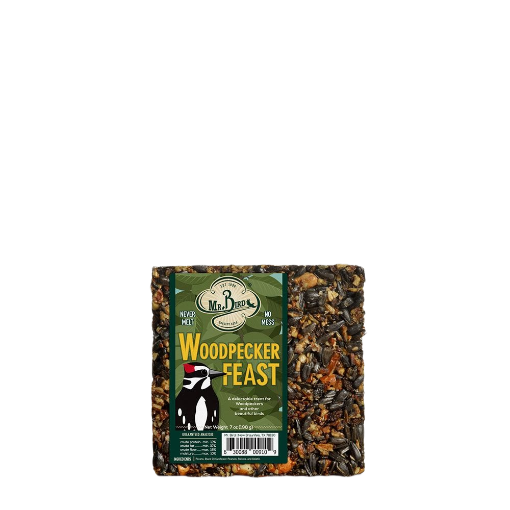 Square bird seed cake with mixed seeds and grains designed for feeding small woodpeckers outdoors