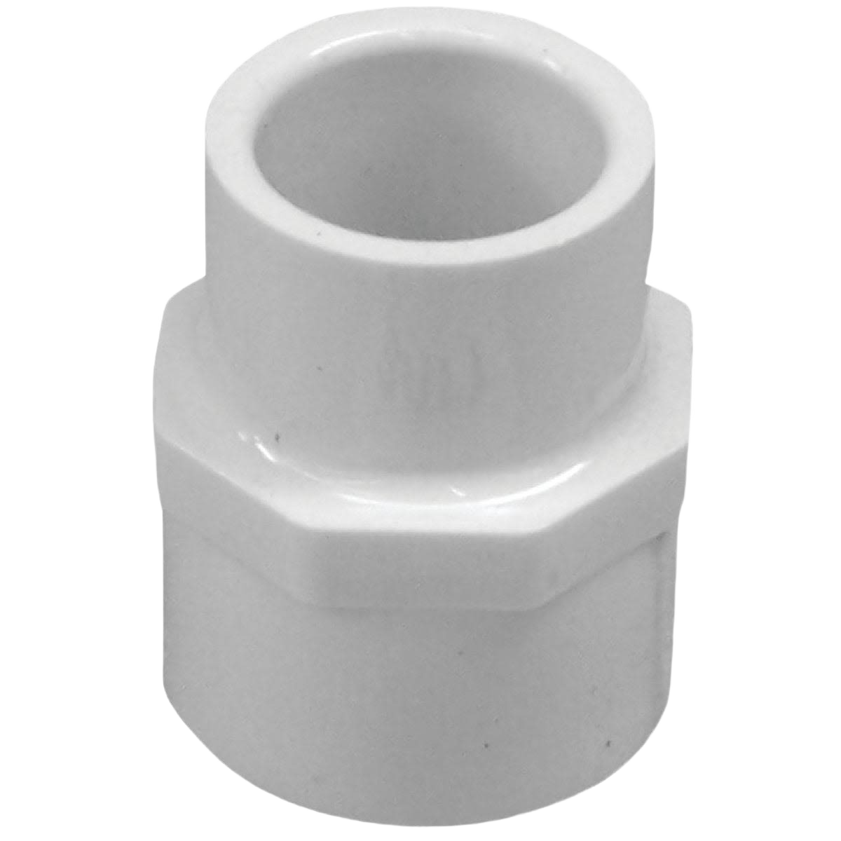 White Schedule 40 PVC female adapter fitting for plumbing in Pipes & Fittings and Home Improvement collections