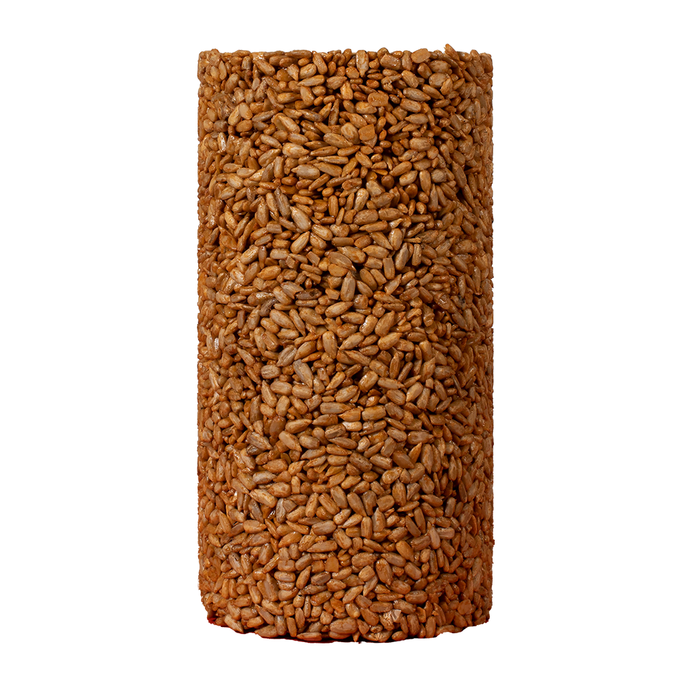 Compact cylinder of tightly packed small sunflower seeds forming a natural bird feeder block for outdoor use