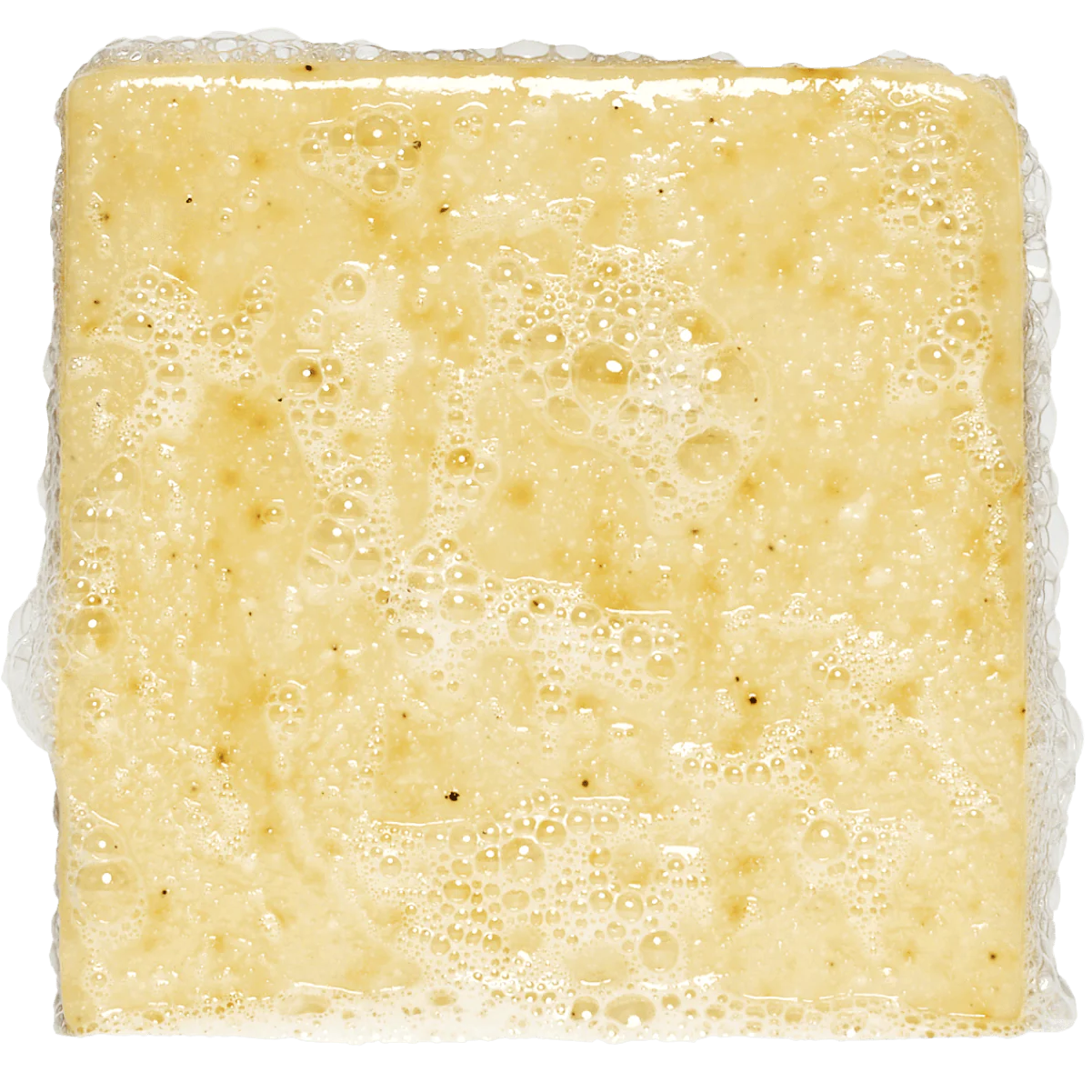 Light yellow foaming bar soap with natural exfoliating texture and small dark specks in lathered state