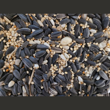 Close-up of mixed bird seeds including black striped sunflower and millet grains for wild bird feeding