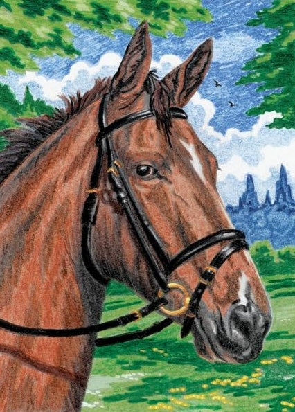 Illustrated close-up of a brown horse with black bridle against a green meadow and blue sky background