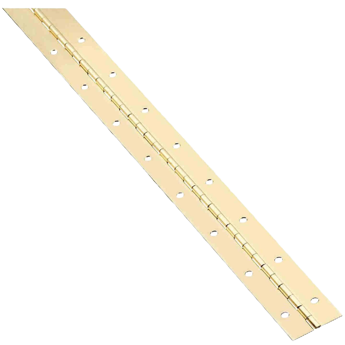 Bright brass steel continuous hinge with multiple mounting holes for home improvement and tool applications