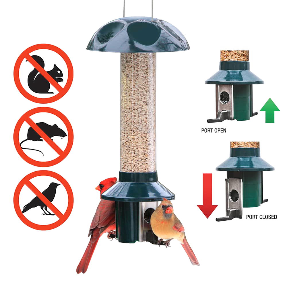 Roamwild Green Pest Off Squirrel Proof Mixed Seed Feeder
