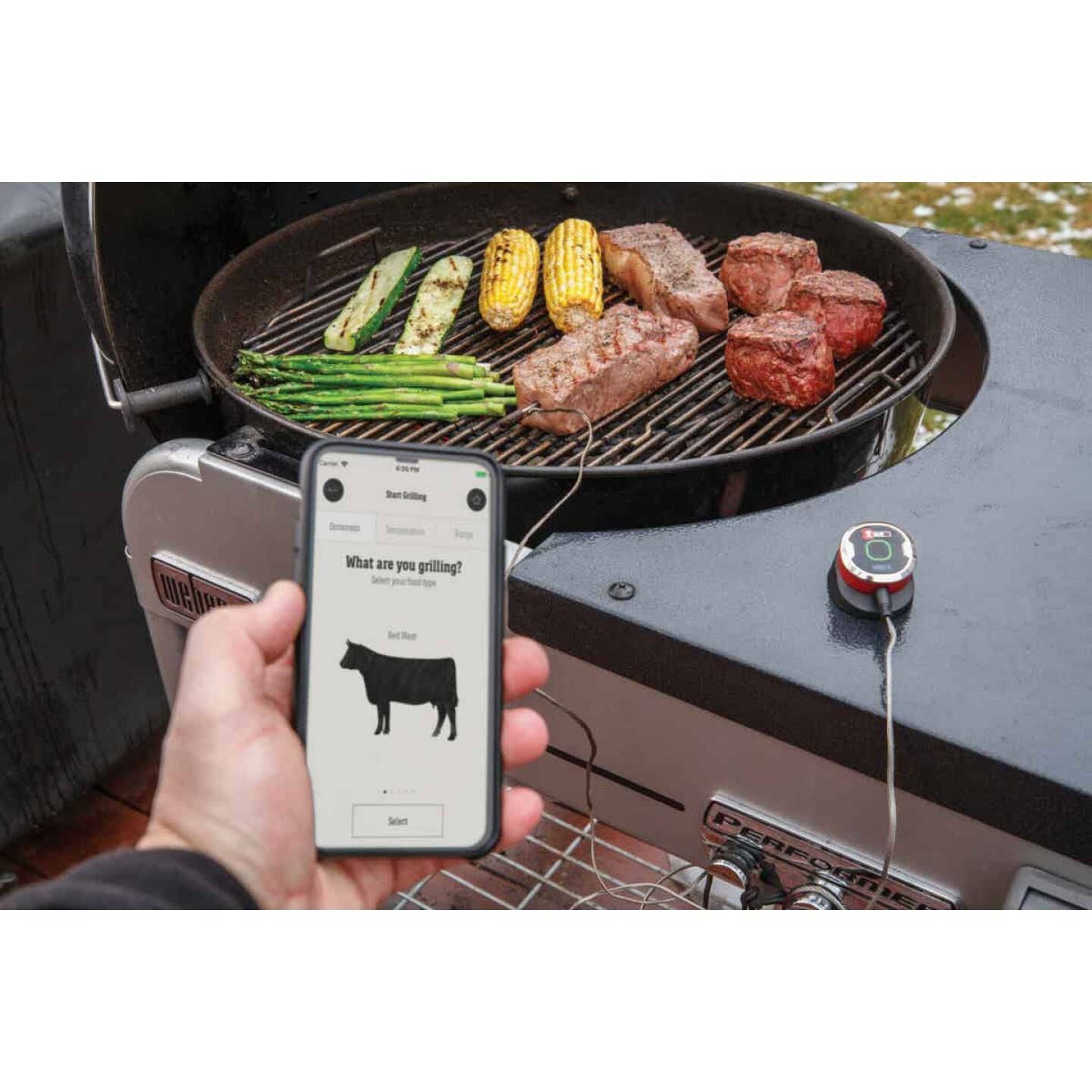 Weber iGrill Mini Thermometer