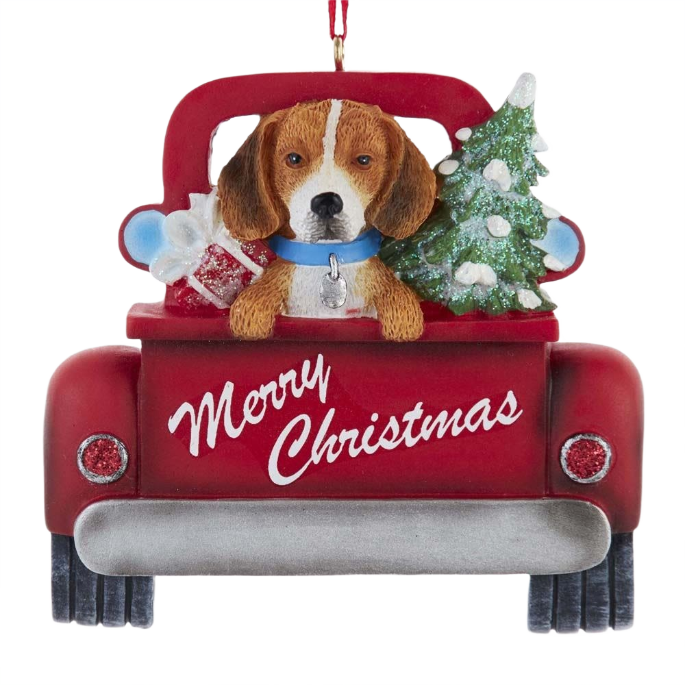 Beagle with blue collar in red vintage truck bed holding Christmas tree and gift with Merry Christmas text