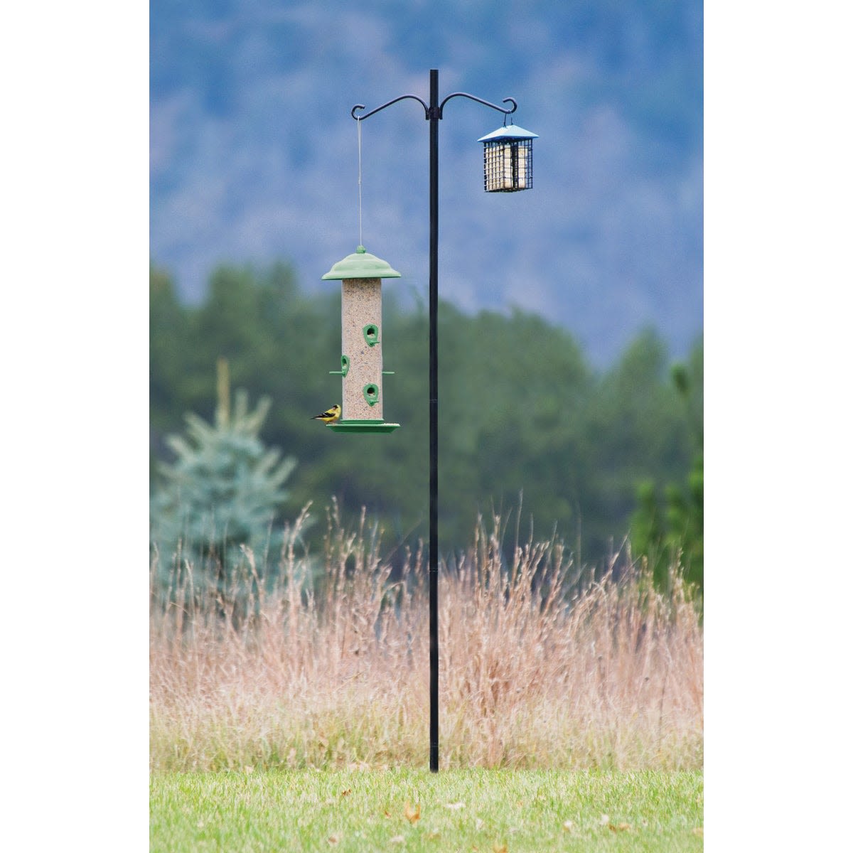 Tall black steel pole kit with dual hooks holding bird feeder and seed cage in natural outdoor setting
