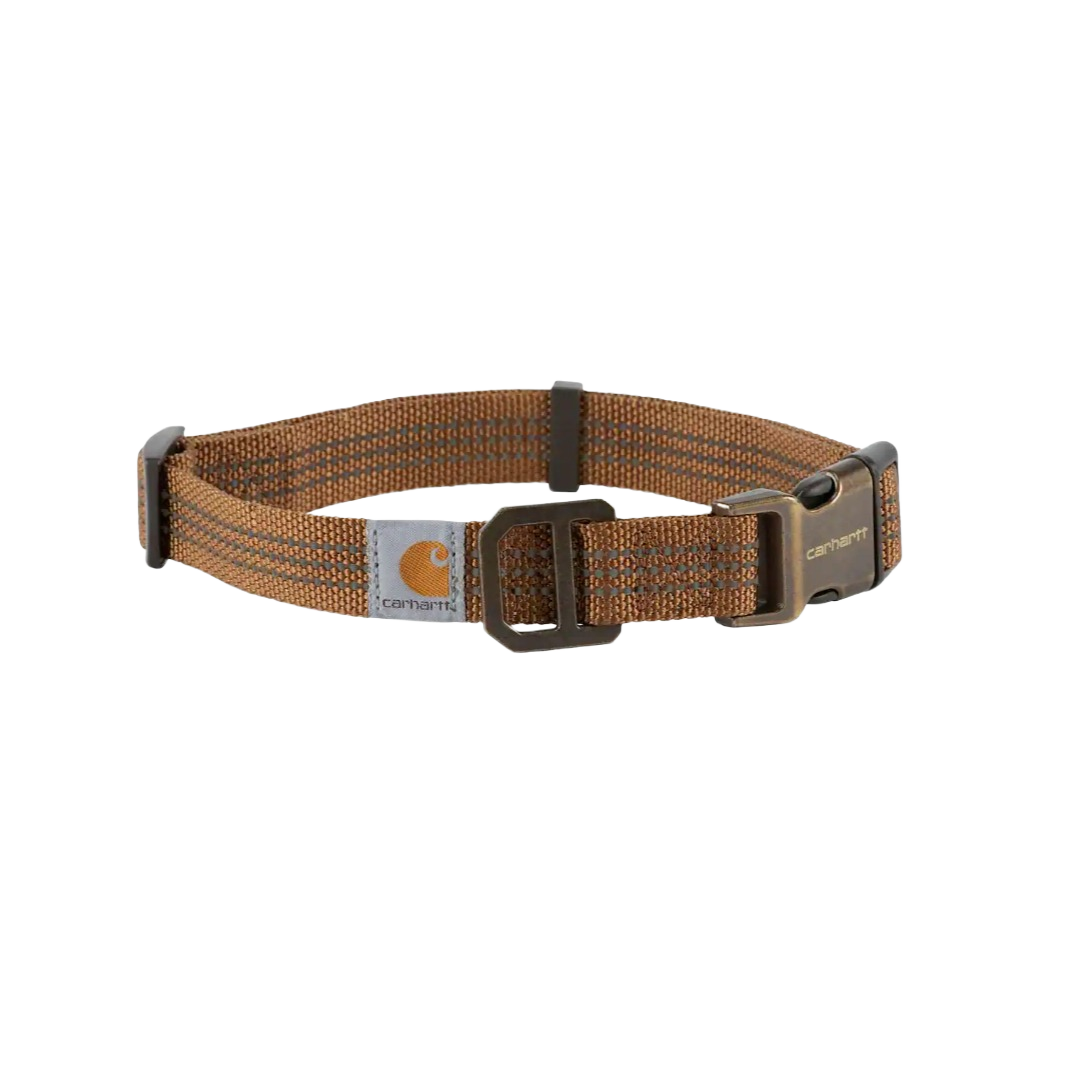 Durable dark brown nylon dog collar with reflective trim and metal buckle in pet collars and leashes collection under $50