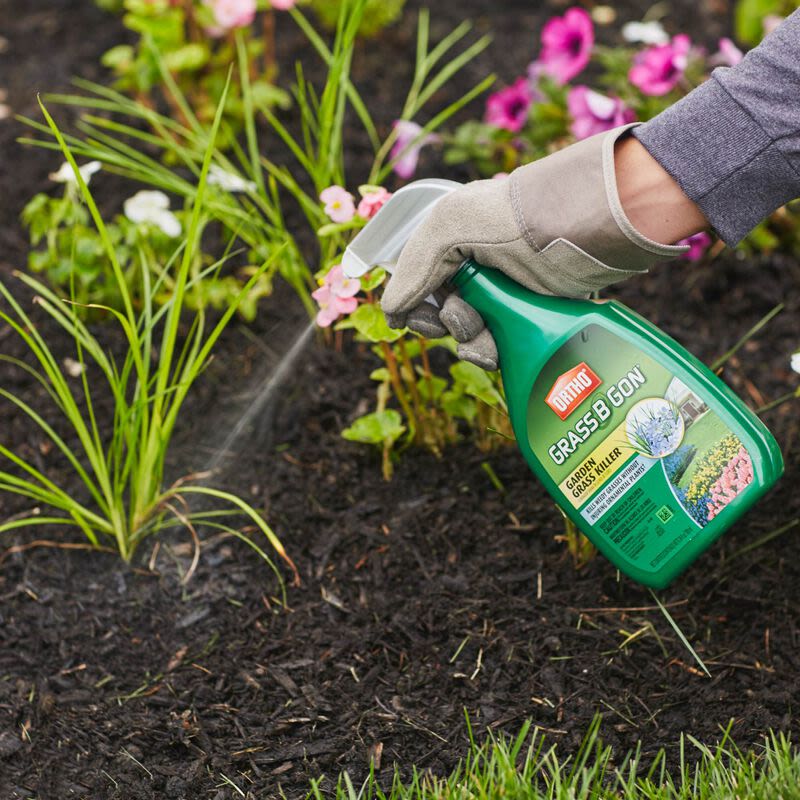 Hand in garden glove spraying Ortho Grass B Gon on weeds in flower bed for lawn care under $50