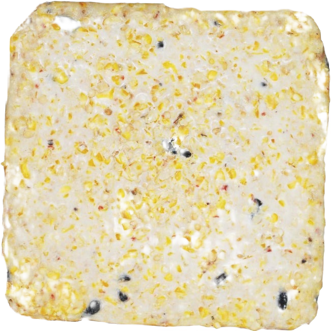 Suet Plus 11 Oz. High Energy Suet, 10-Pack