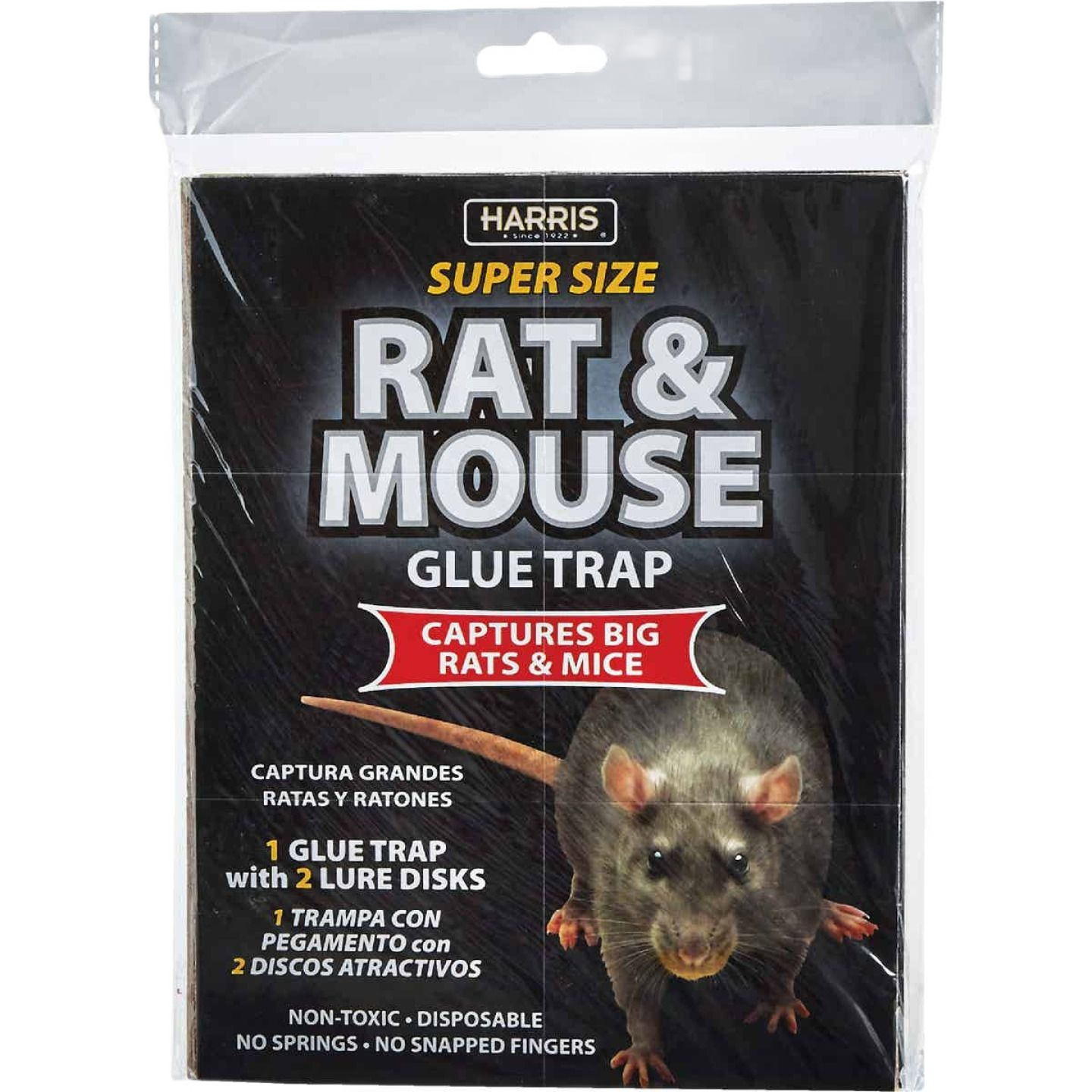 Package of oversized glue trap with lure disks for indoor rodent control in home improvement and pest management projects