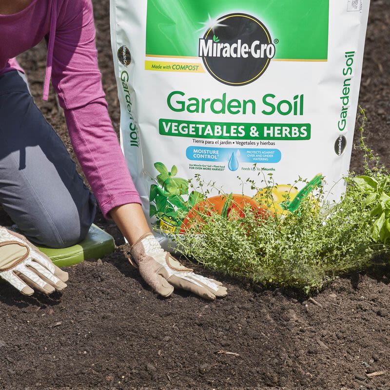 Gardener wearing gloves planting fresh herbs in rich soil next to a bag of Miracle-Gro garden soil for vegetables and herbs