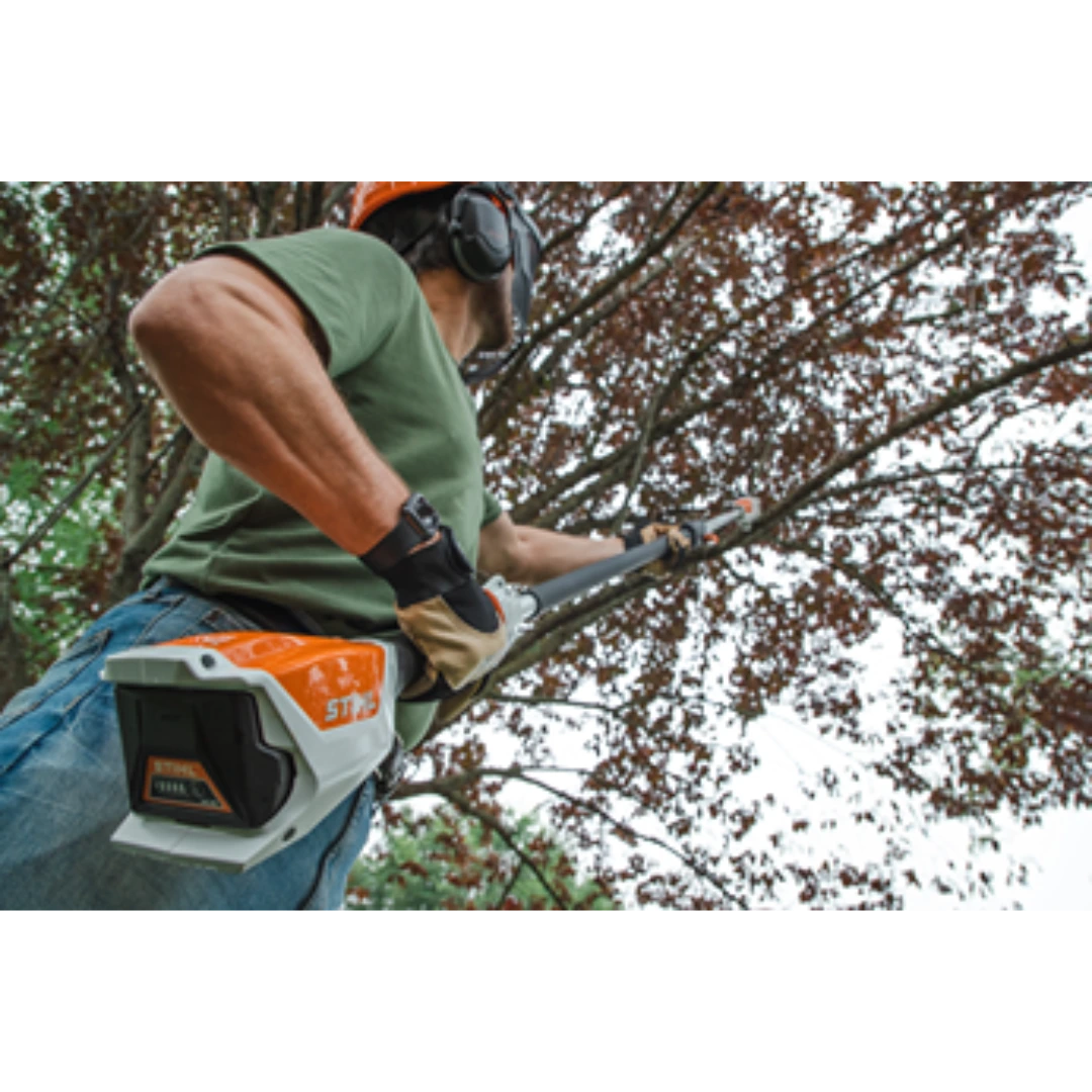 Man wearing protective gear using STIHL battery pruner to trim high tree branches in backyard home improvement task