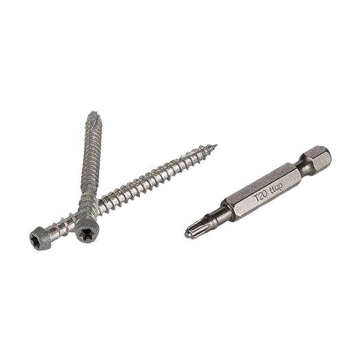 Two dark gray screws and a T20 TOPLoc® screwdriver bit for home improvement and tool use