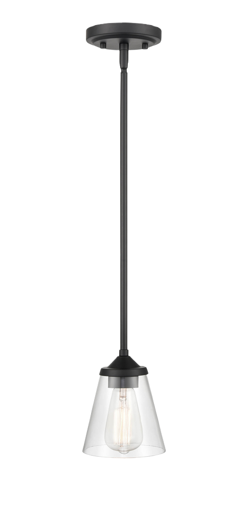 Black finished pendant light with clear glass shade for bathroom and ceiling lighting under 100 dollars collections
