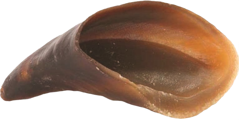 Natural 4-inch dog chew hoof made of all-natural beef, perfect treat in pet and farm supplies collection.