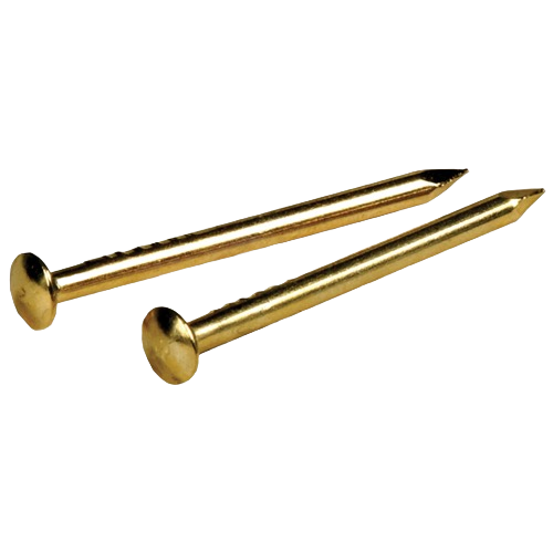 Two solid brass escutcheon pins with decorative heads for hardware and home improvement fasteners collection