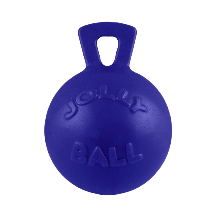 Durable large blue tug-n-toss ball with handle for active dogs, part of dog toys and pet supplies under $50 collection