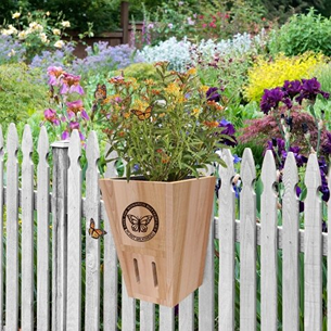 Light wood planter with engraved butterfly logo, designed for outdoor gardening and enhancing home improvement spaces