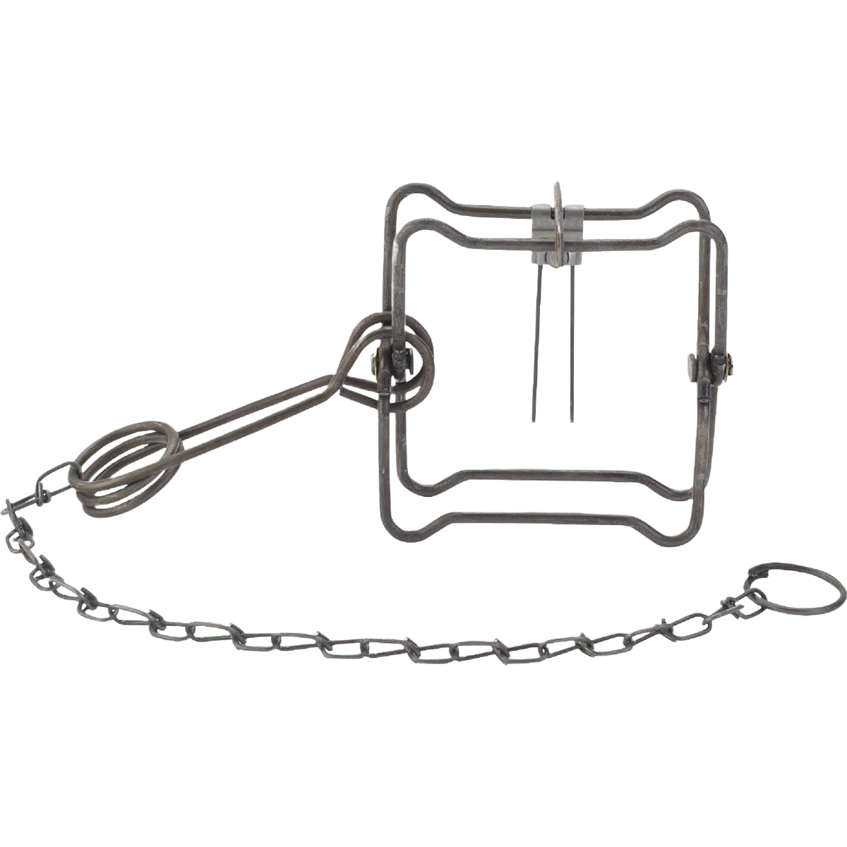 Steel body gripping animal trap with chain and spring mechanism for pest control in lawn and garden use under $50