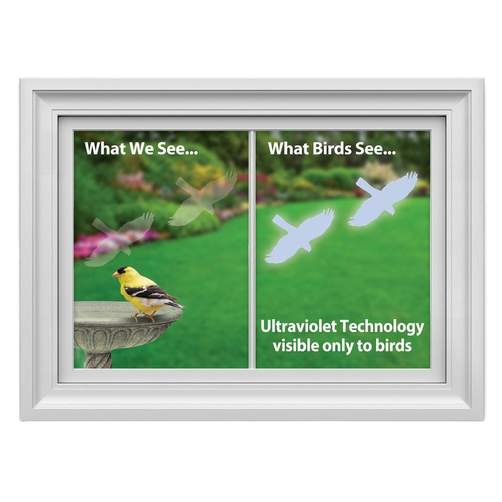 White framed window showing visible bird silhouettes and ultraviolet bird decals seen only by birds to prevent collisions