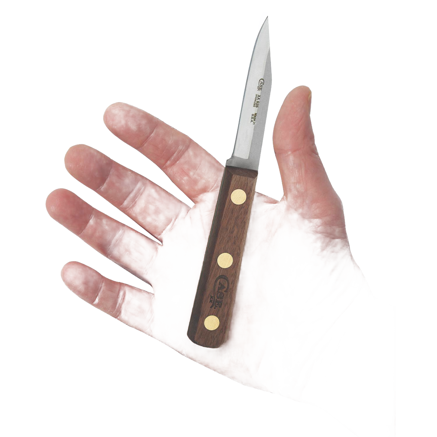 Small 3-inch clip point paring knife with wooden handle, durable kitchen utensil from Knives and Kitchenware collections under $50