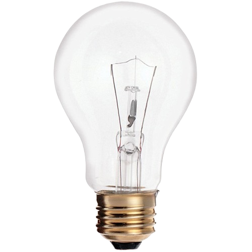 Clear A19 incandescent light bulb with medium base for indoor lighting in electrical and light bulbs collection