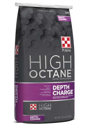 Large bag of Purina High Octane Depth Charge show supplement for livestock nutrition and health support