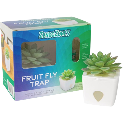 Decorative fruit fly trap with green succulent top, designed for indoor insect and pest control under $50 category