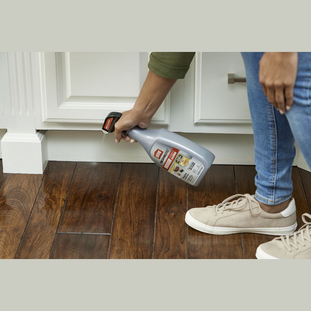 Person applying indoor insect barrier spray along baseboards on hardwood floor in home improvement setting