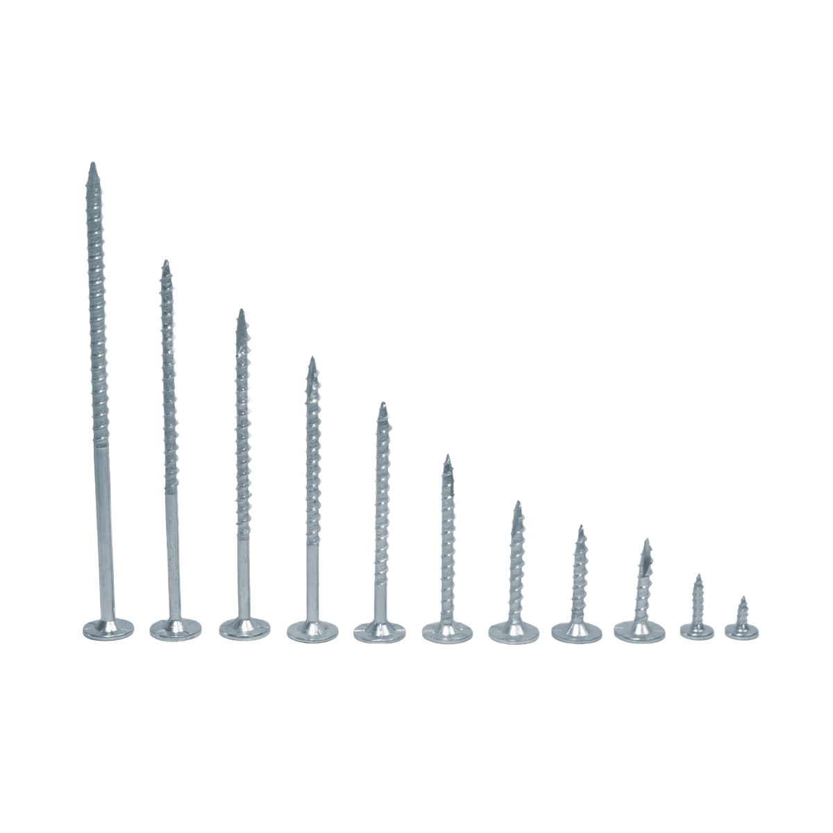 Set of assorted silver wood screws with large flat heads for home improvement fasteners and hardware projects under $50 collection