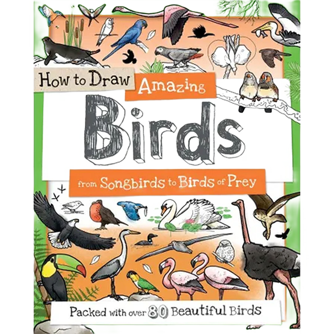 Colorful illustrated bird drawings including songbirds, birds of prey, and waterfowl featured on an artistic instructional cover page