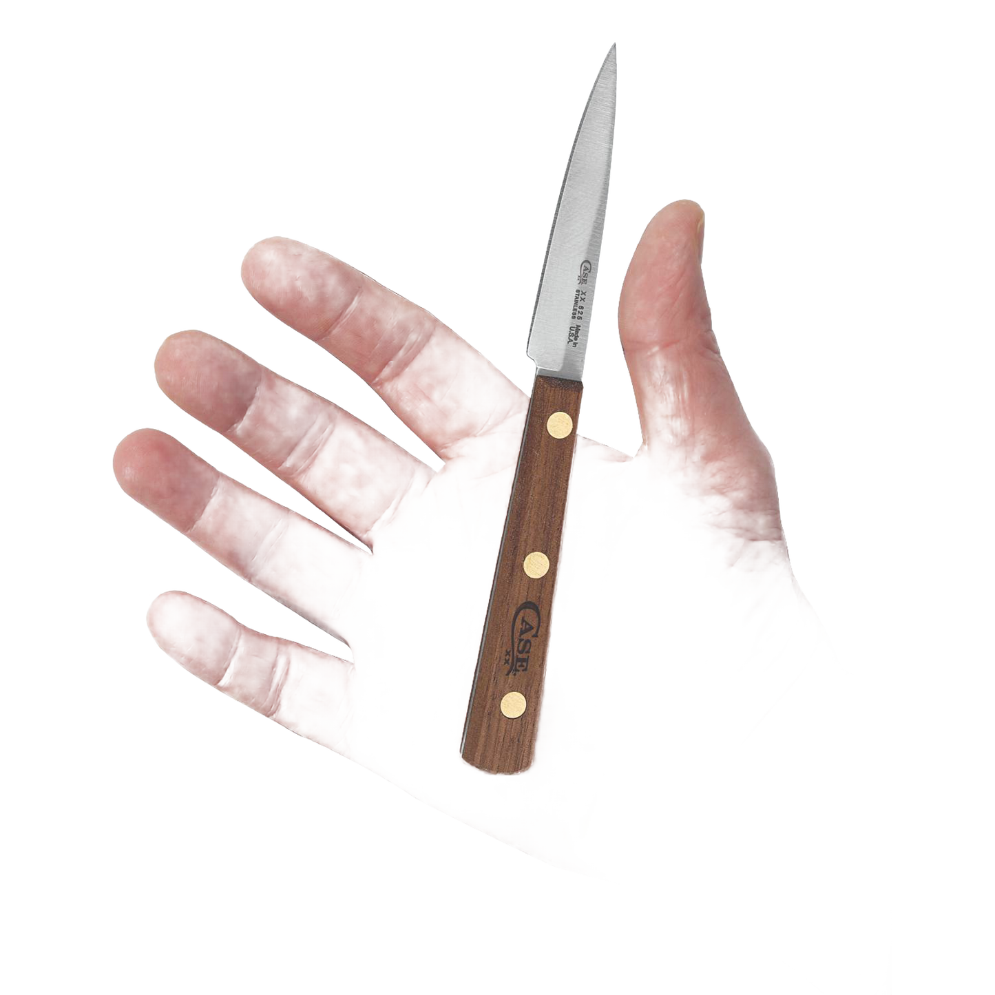 Compact paring knife with wooden handle and brass rivets, sharp spear point blade for precise kitchen tasks under $50.