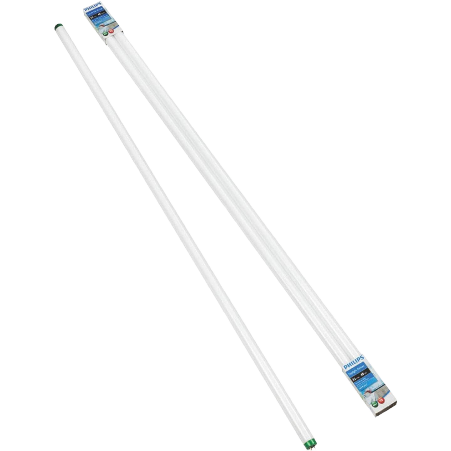 Pair of 32 watt daylight T8 tube lights with medium bi-pin bases for lighting and electrical home improvement collections